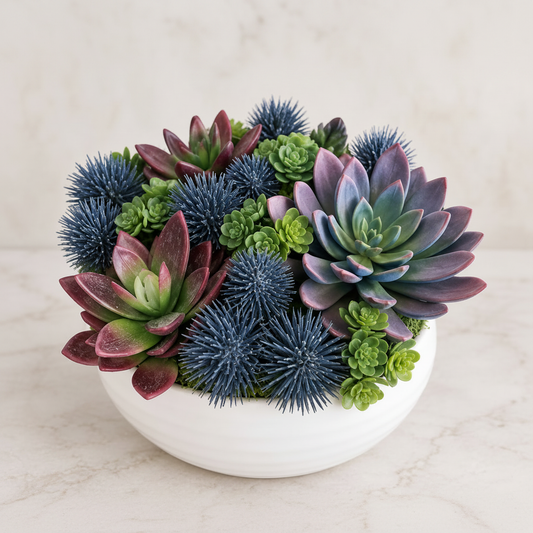 Plum Plush Ultra succulent arrangement in white ceramic bowl